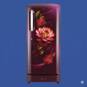 LG 224L High Efficiency Inverter Single Door Refrigerator – Red Floral Edition